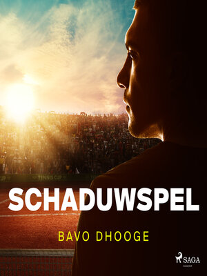 cover image of Schaduwspel